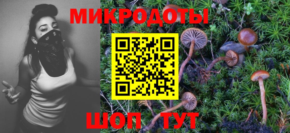 Киров  Псилоцибиновые грибы Cubensis  Вход с VPN 
